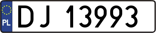 DJ13993
