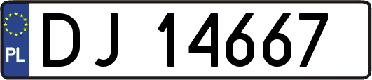 DJ14667