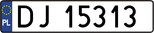 DJ15313