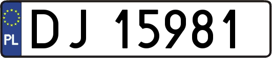 DJ15981