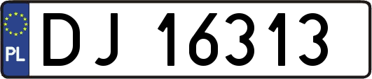 DJ16313