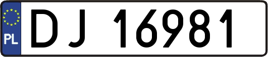 DJ16981