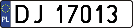 DJ17013