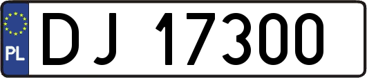 DJ17300