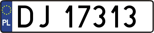 DJ17313
