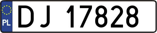 DJ17828