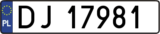 DJ17981
