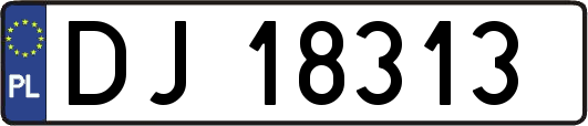 DJ18313