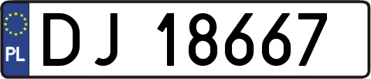 DJ18667