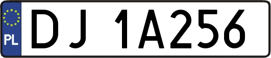 DJ1A256