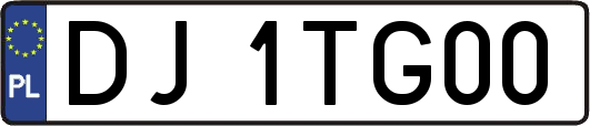 DJ1TG00