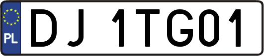 DJ1TG01