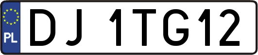 DJ1TG12