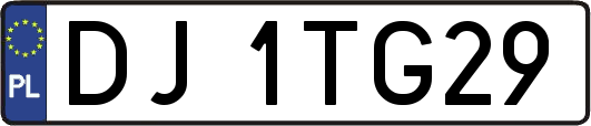DJ1TG29