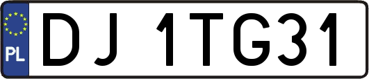 DJ1TG31