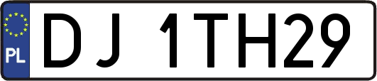 DJ1TH29