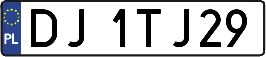 DJ1TJ29