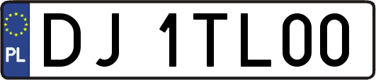 DJ1TL00