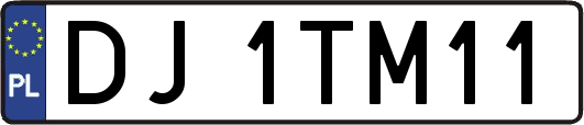 DJ1TM11