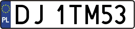 DJ1TM53