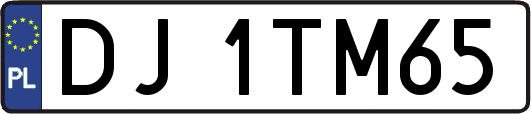 DJ1TM65