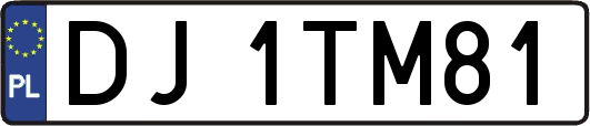 DJ1TM81