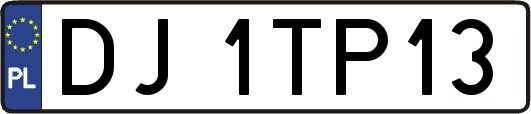 DJ1TP13