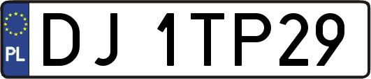DJ1TP29