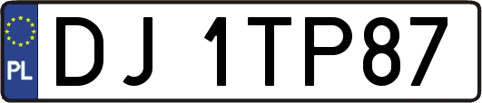 DJ1TP87