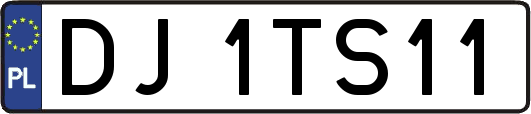 DJ1TS11