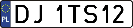 DJ1TS12