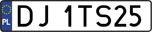 DJ1TS25