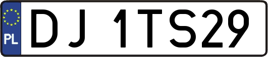 DJ1TS29