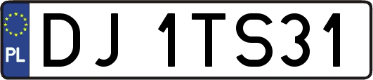 DJ1TS31