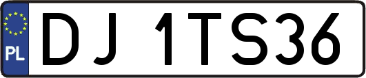 DJ1TS36