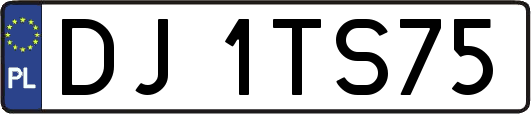 DJ1TS75