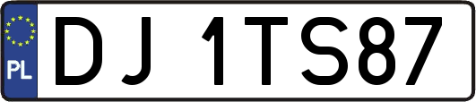 DJ1TS87