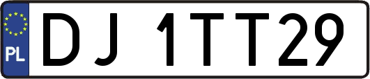DJ1TT29