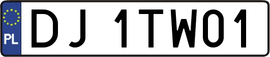 DJ1TW01