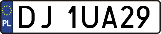 DJ1UA29
