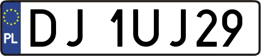 DJ1UJ29