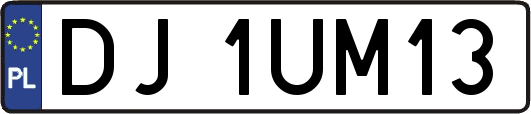 DJ1UM13