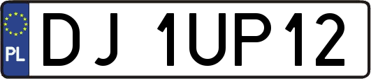 DJ1UP12