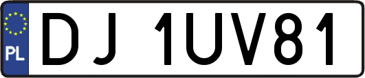 DJ1UV81