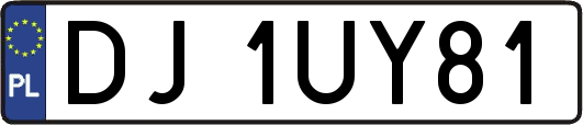 DJ1UY81