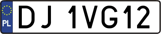 DJ1VG12