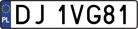 DJ1VG81