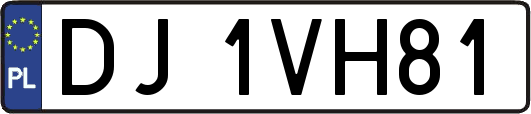 DJ1VH81