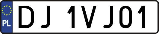 DJ1VJ01