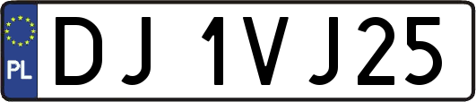 DJ1VJ25
